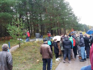 dujmovici2