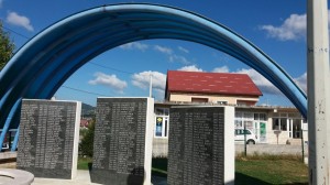 svrakino1
